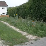 Flora 아파트